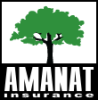 Amanat Insurance / Аманат Иншуранс / Стрaховая кoмпания /